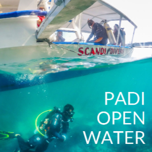 Scandi - PADI open water diver course