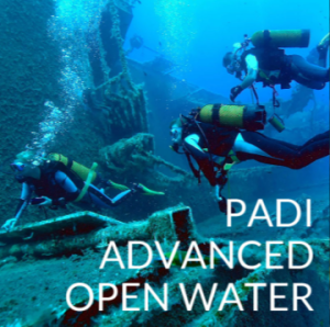 Scandi - PADI Advance open water course