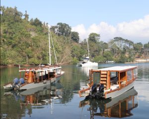 D'Lagoon - Lembeh 4 day / 3 night - 5 dive